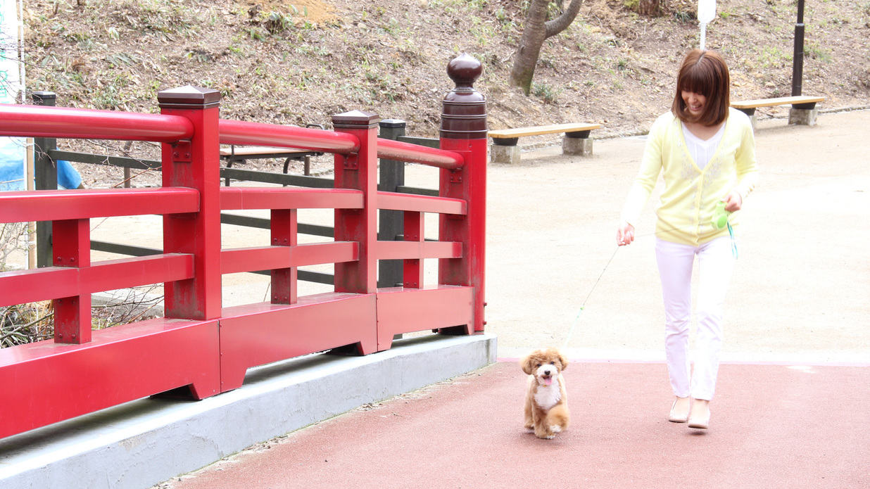 #【弥彦公園】滝や渓流、トンネルなどの景観が美しいとっても広い公園！お散歩大好きなわんこも、飼い主さ