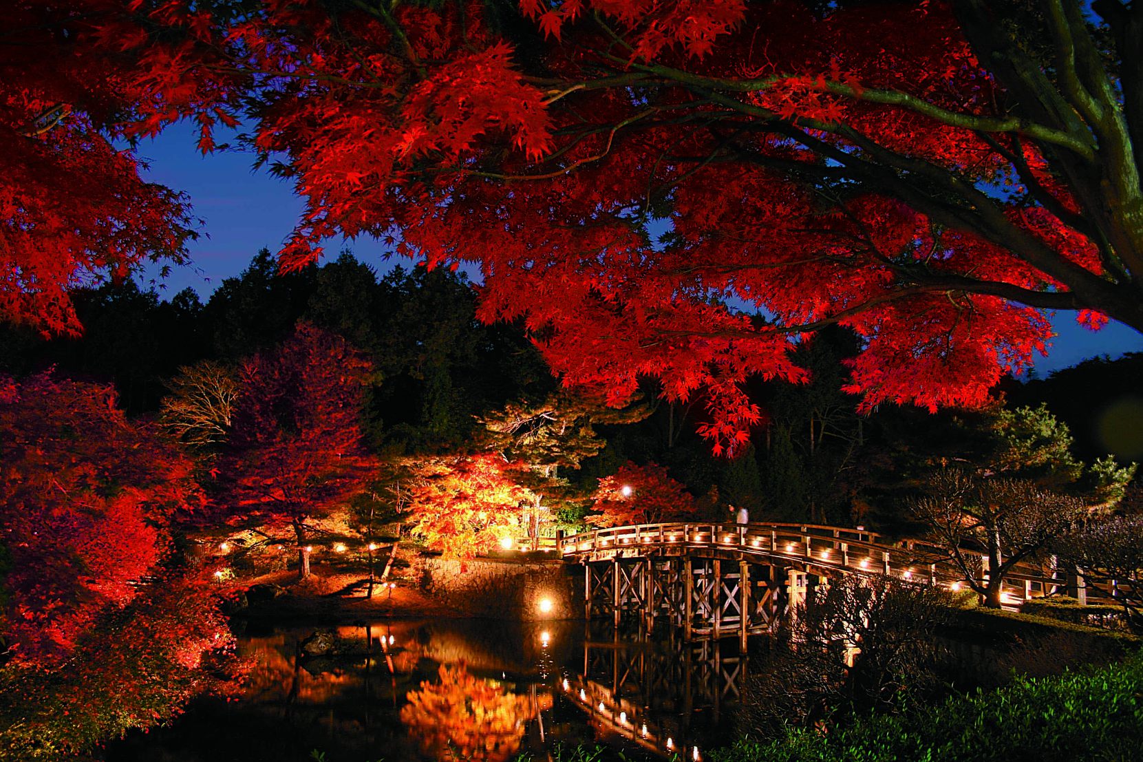 修善寺虹の郷紅葉