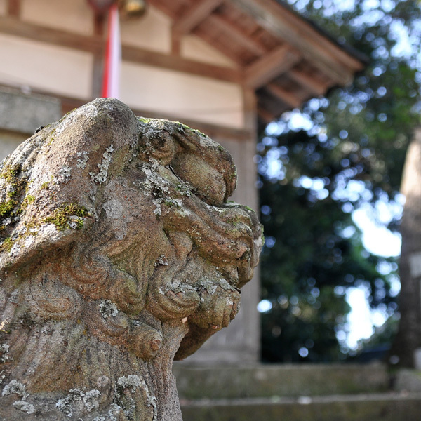 狛犬も歴史を感じさせます。