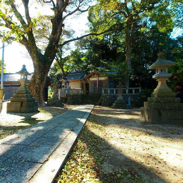 樹齢数百年の大ケヤキも。