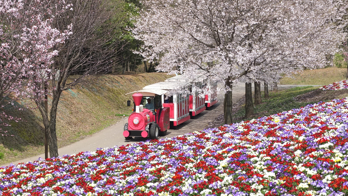 とっとり花回廊[4月]