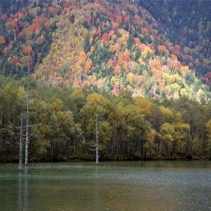 上高地の紅葉