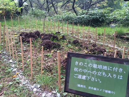 食欲の秋