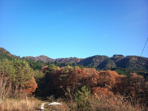 お宿からの山々