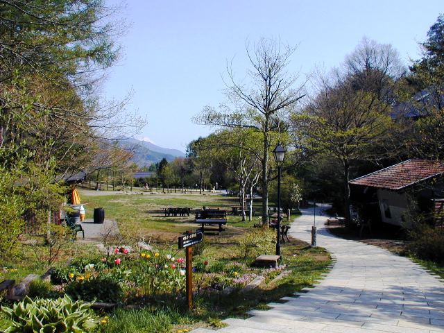 萌木の村の小道