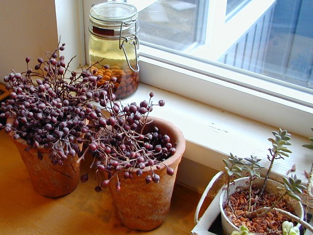 窓辺のアレンジ