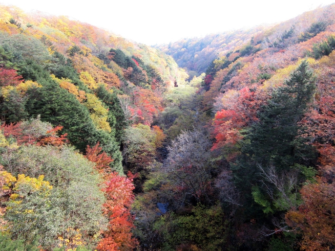 東沢渓谷（東沢大橋）の紅葉10月上旬〜11月上旬