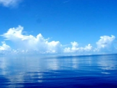 Minami Kaze Image 4, Okinawa Main island, Japan