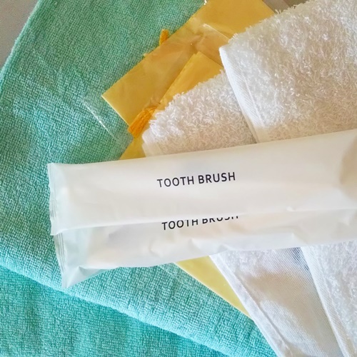 Madarao Lainston Hotel Image 5, Itoigawa, Japan