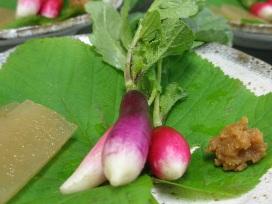 ミニ大根と自家製味噌