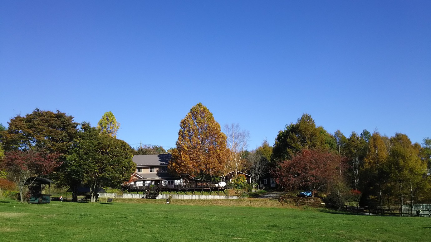 紅葉が始まりかけた秋の日の全景。