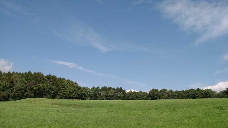 客室の窓の外に続く牧草地。思い切り両手を広げたくなる緑の原です。