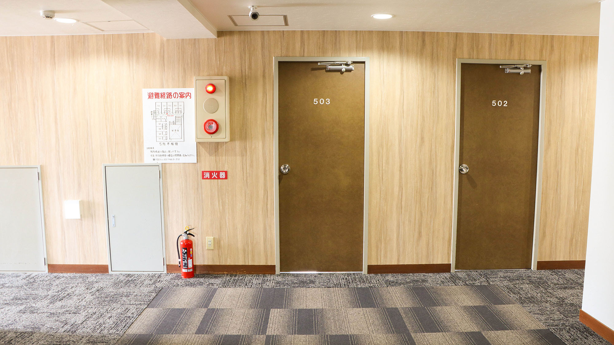 ・【5F廊下】明るく清潔感のある館内。女性お一人でのお泊りにも安心です