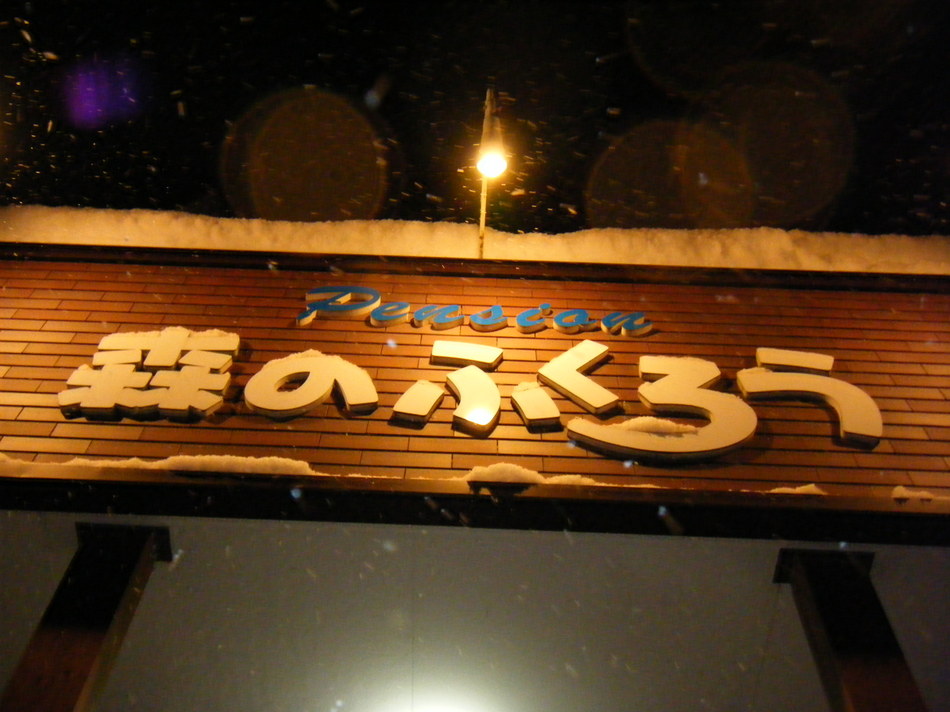 森のふくろう！