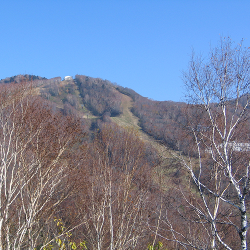 *山の風景