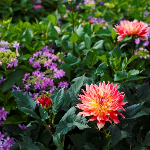 【ビジネスインうめさき】庭園には季節折々の花が咲き誇ります。