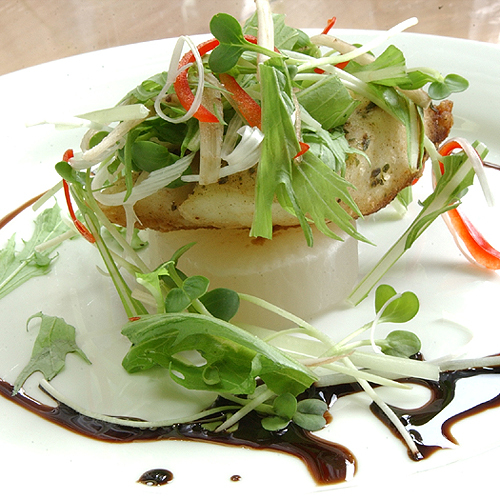 Nasu Kogen Pension Bears