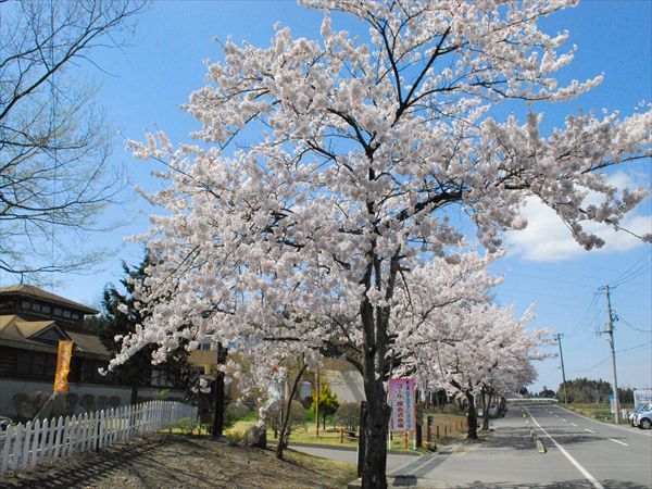 泉崎五月温泉 泉崎乡村俱乐部酒店