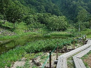 湯沢高原アルプの里