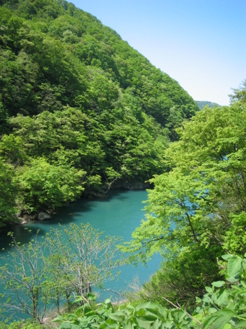 新緑の秋山郷