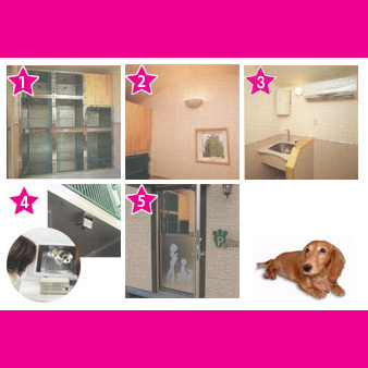 【ペッドリーム】お出かけ用、ワンちゃんお預かりに安心