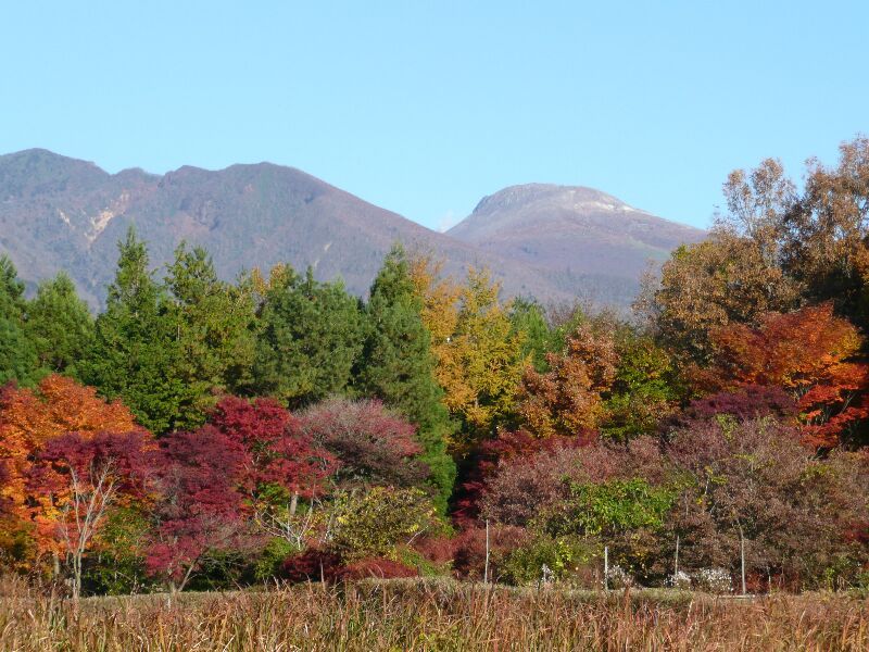 紅葉風景