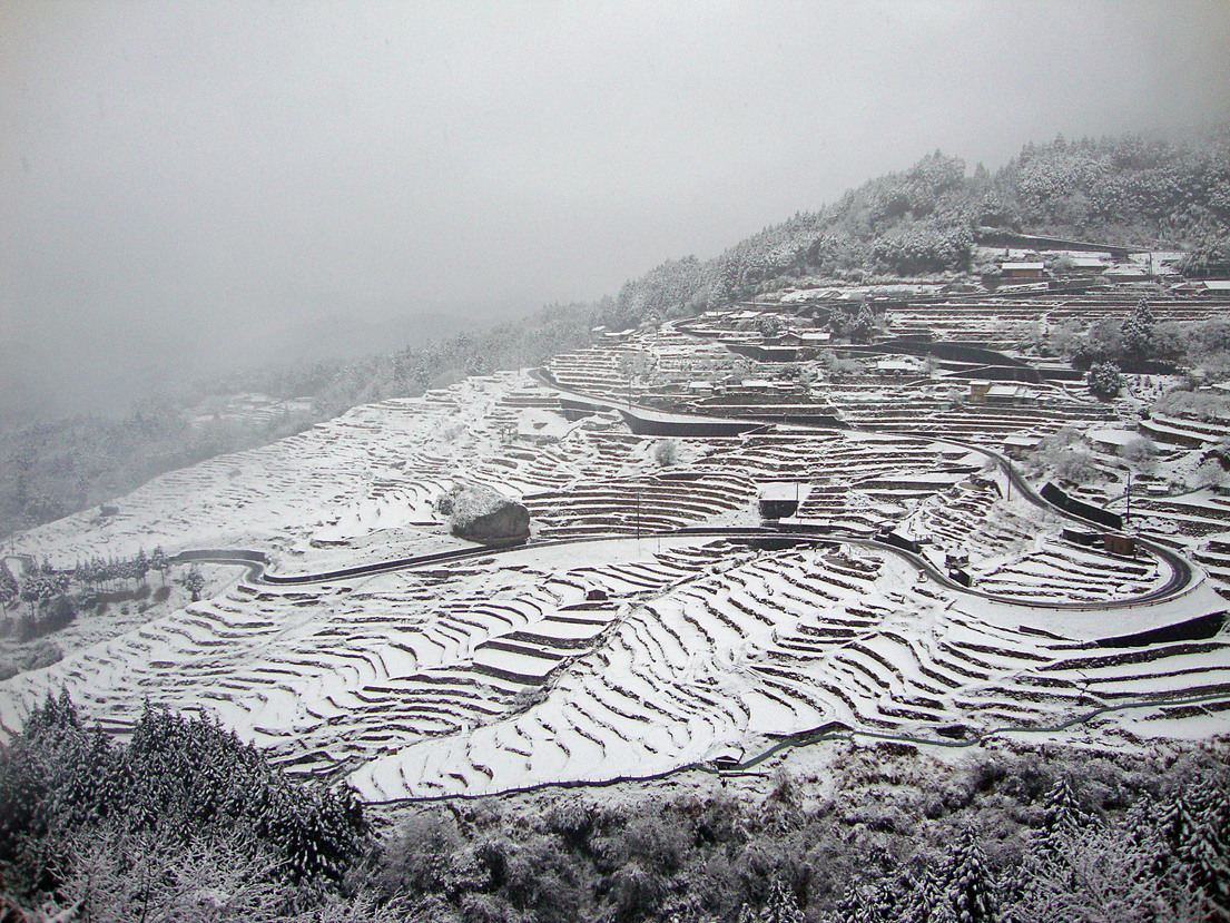 丸山千枚田冬