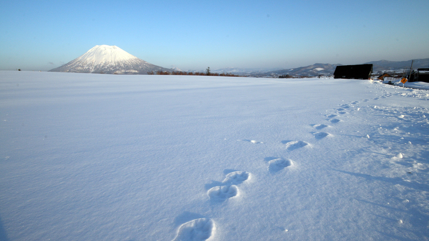 【周辺風景】雪景色