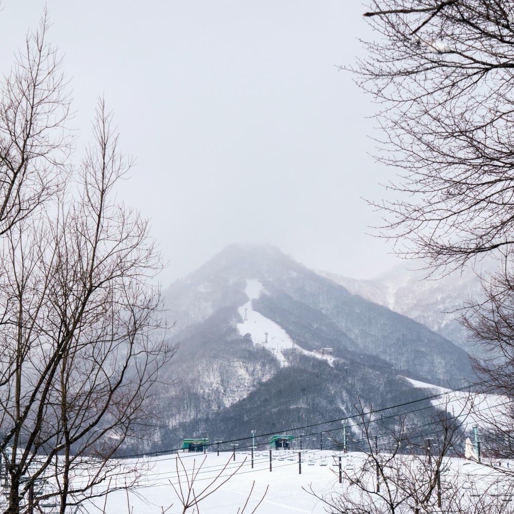 EARTHMANS TSUGAIKE Image 5, Hakuba, Japan