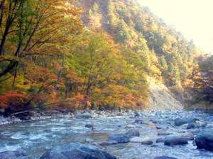 白馬岳に向かう道(秋）