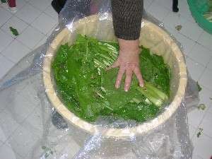 お手製の野沢菜