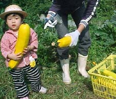 ペンション 赤い屋根の写真 フォトギャラリー His旅プロ 国内旅行ホテル最安値予約