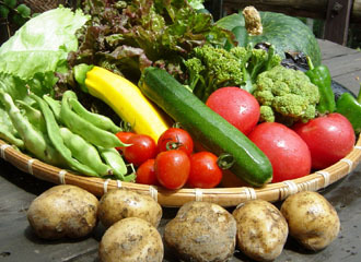 ペンション 赤い屋根の施設情報 His旅プロ 国内旅行ホテル最安値予約