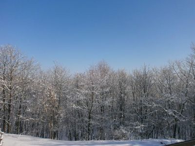 釧路湿原冬の樹氷