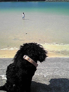 This photo about Umi no Ie Akebonoso shared on HyHotel.com