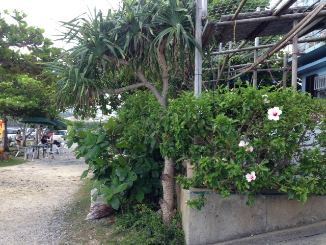 宿入り口右側の景色