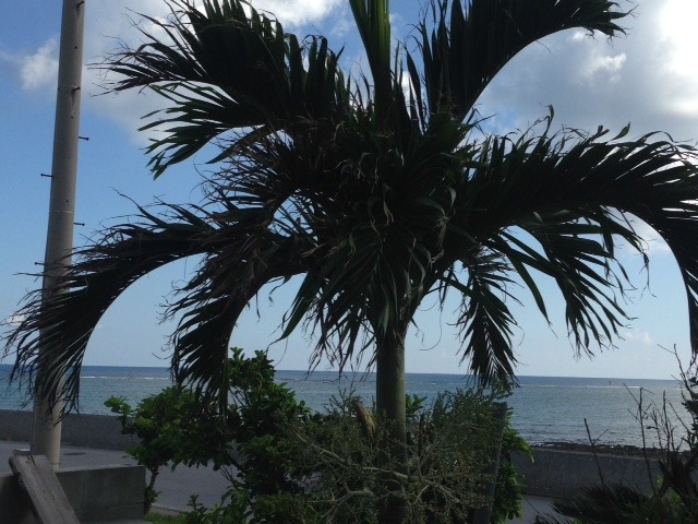 宿入り口左景色