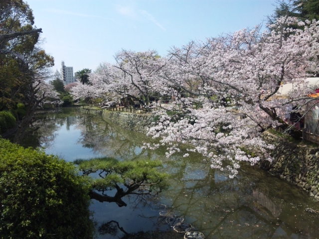 道後公園