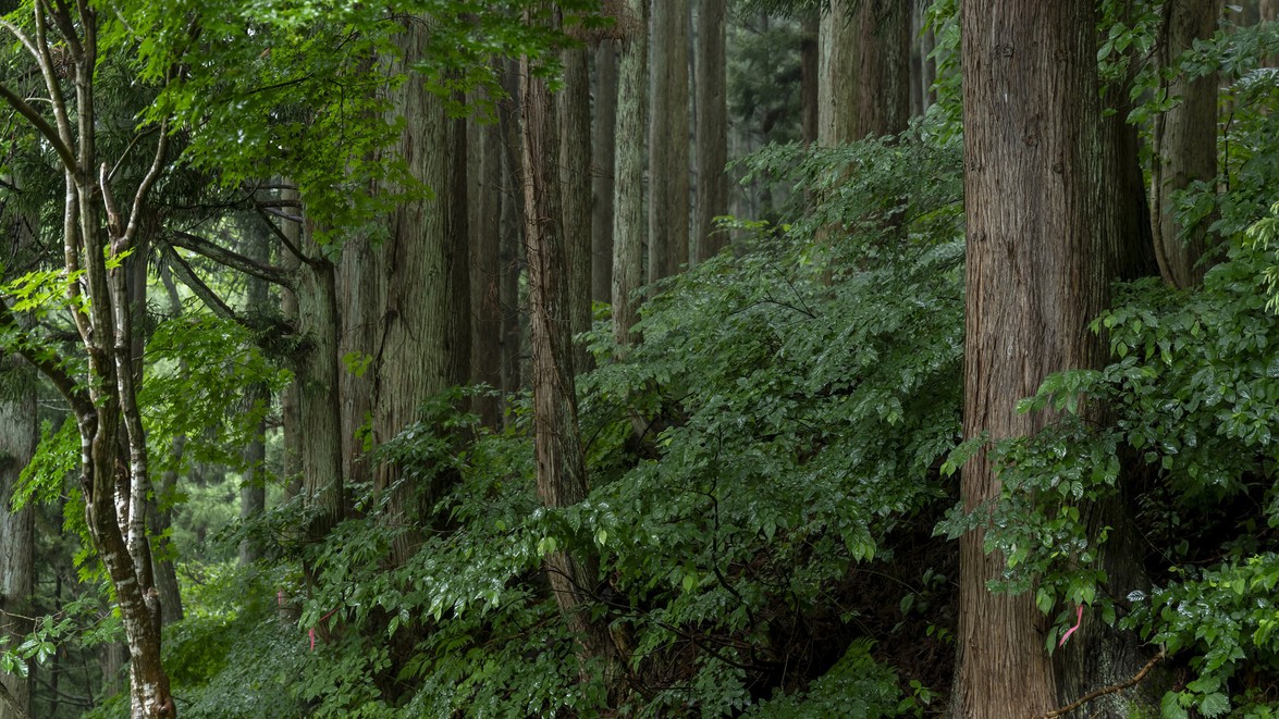 ログハウス大浴場からの眺め