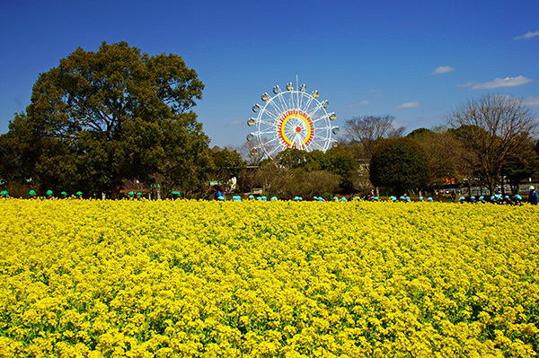 【観光】熊本市動植物園