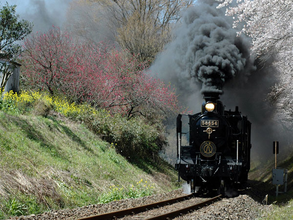 【観光】人吉SL