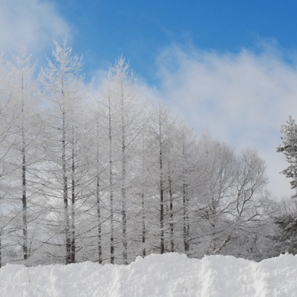 雪景色