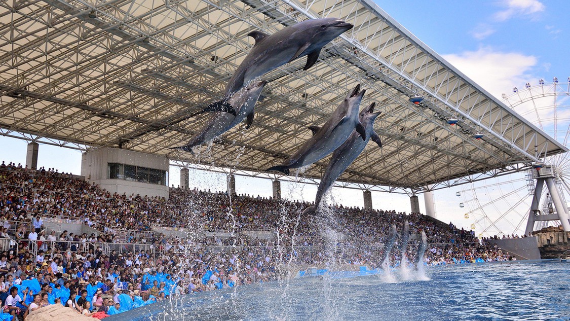 【名古屋港水族館】当館より車で30分、電車で45分