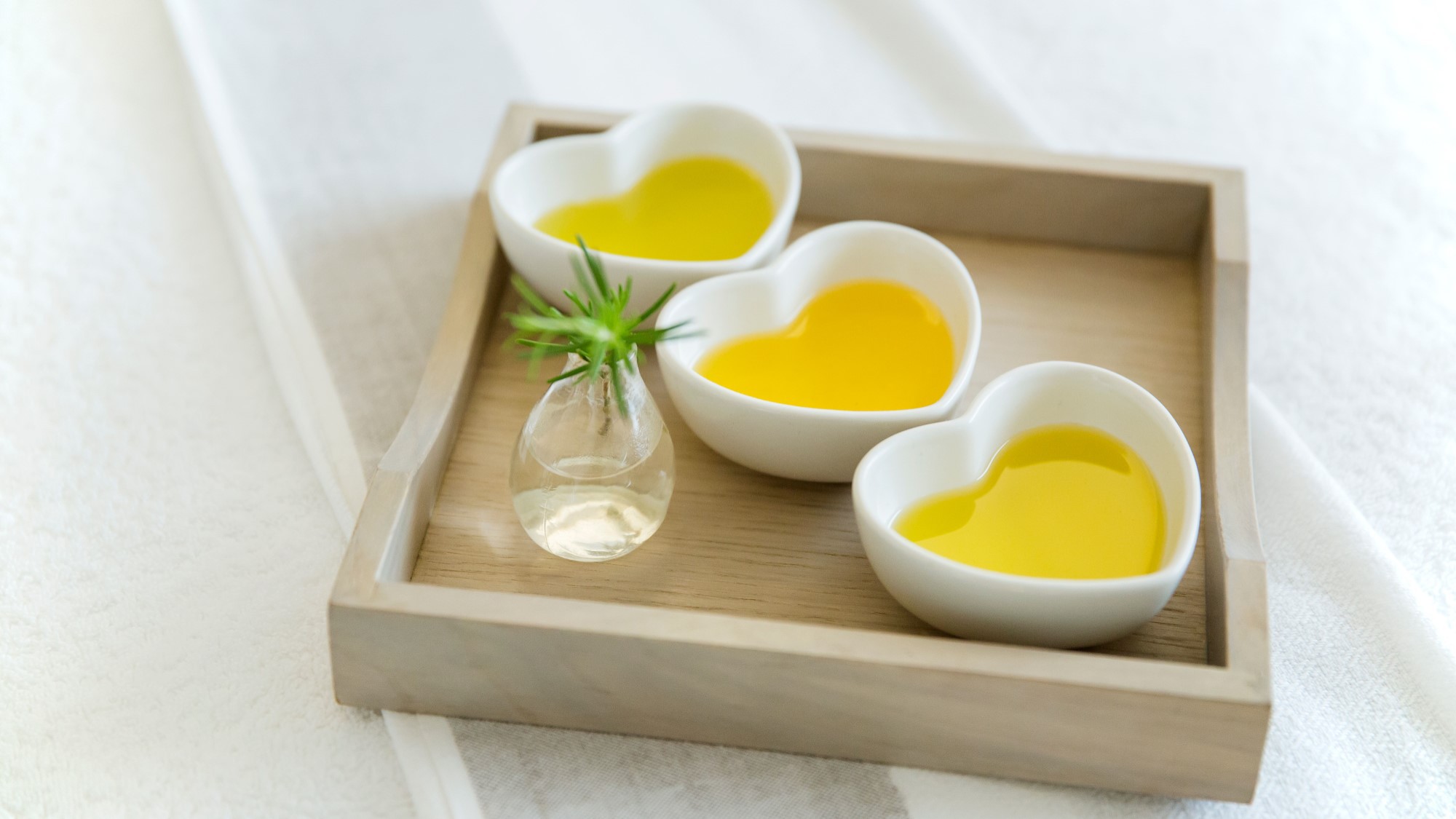 The Spa ESPACIO MEIKAN オープン記念 心と身体を整えるトリートメント＆ディナー