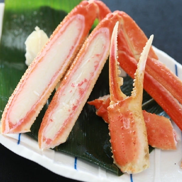 Misasa Onsen Meijiso Image 4, Misasa, Japan