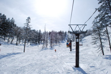 かぐら第5ロマンスリフトに乗ると、別世界に連れて行ってくれる感じで興奮しますよ！