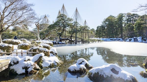 兼六園雪吊り