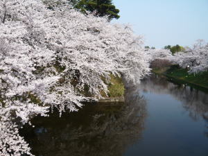 Blossom Hotel Hirosaki