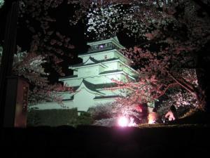 鶴ヶ城夜桜