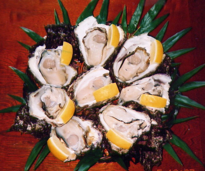 天然岩牡蠣貝